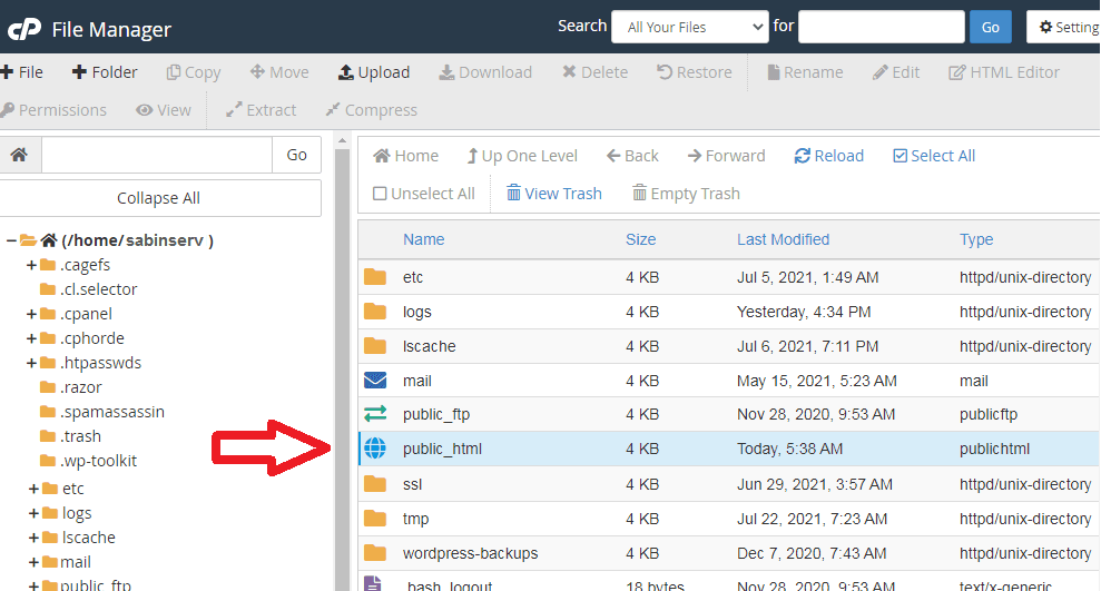 Cách hiển thị thư mục và file ẩn trong hosting cPanel