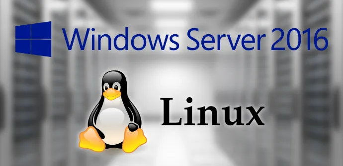 Hosting Linux và Windows là hai loại hình dịch vụ hosting phổ biến, dựa trên hệ điều hành của máy chủ. Hosting Linux sử dụng hệ điều hành Linux, trong khi Hosting Windows sử dụng hệ điều hành Windows