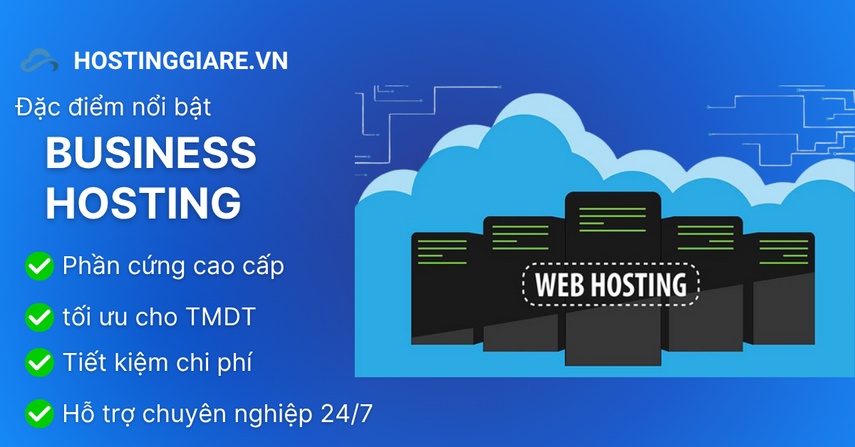Business Hosting, hay còn gọi là Hosting doanh nghiệp, là loại dịch vụ hosting được thiết kế đặc biệt để đáp ứng nhu cầu của các doanh nghiệp, thương mại điện tử và các ứng dụng web có lưu lượng truy cập lớn. Nó nổi bật với cấu hình mạnh mẽ, khả năng chịu tải cao, độ bảo mật tốt và tính linh hoạt trong mở rộng, giúp website hoạt động ổn định và hiệu quả.